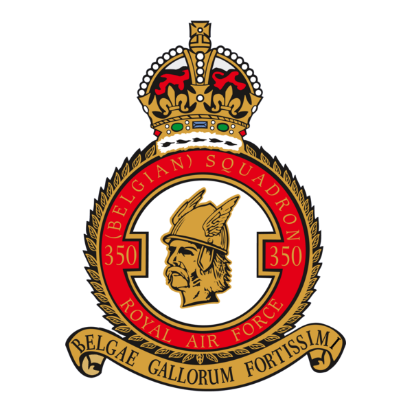 350 SQUADRON Logo PNG Vector