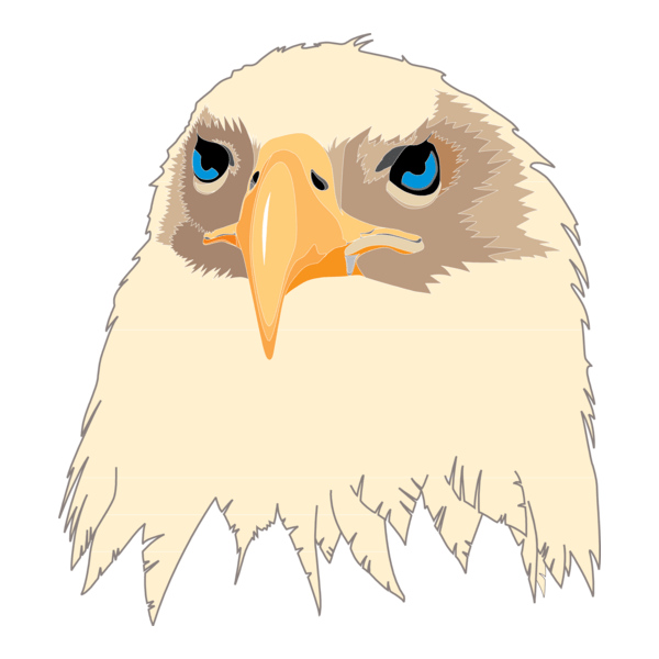 Aguia Eagle Logo PNG Vector
