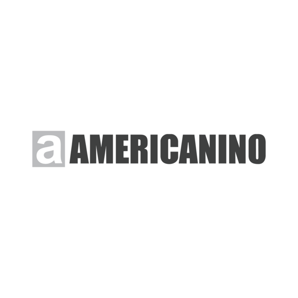 americanino Logo PNG Vector