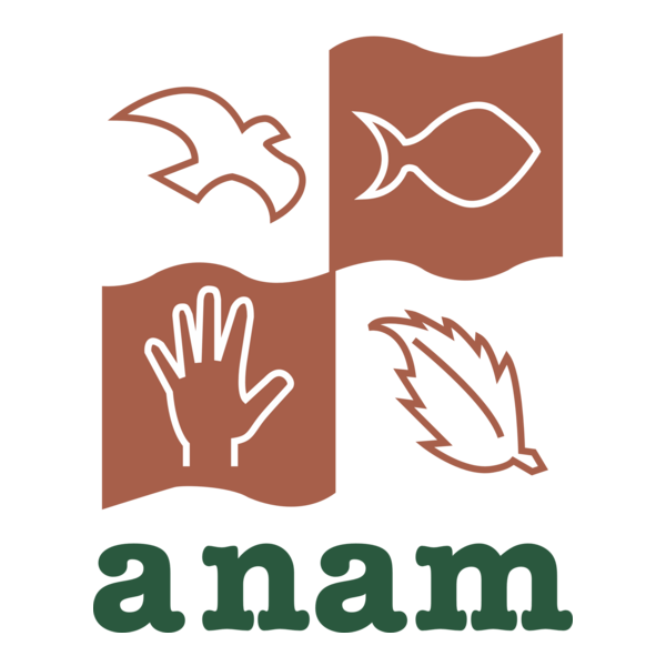 anam Logo PNG Vector