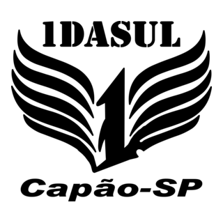 1º da sul Logo PNG Vector