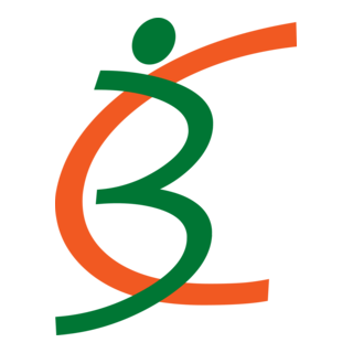 3C Logo PNG Vector