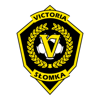 AKS Victoria Slomka Logo PNG Vector