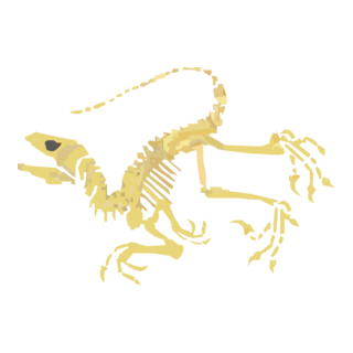 Alexandre Siqueira Logo PNG Vector