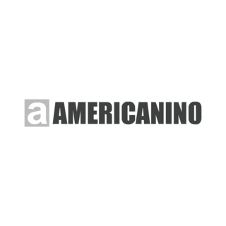 americanino Logo PNG Vector