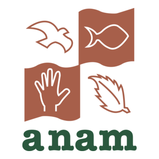 anam Logo PNG Vector
