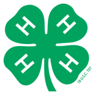 4-H Logo PNG Vector