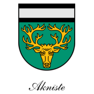 Akniste Logo PNG Vector