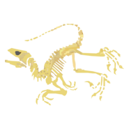 Alexandre Siqueira Logo PNG Vector