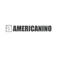 americanino Logo PNG Vector