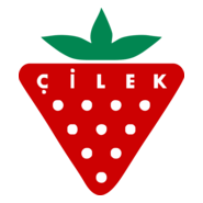 çilek Logo PNG Vector