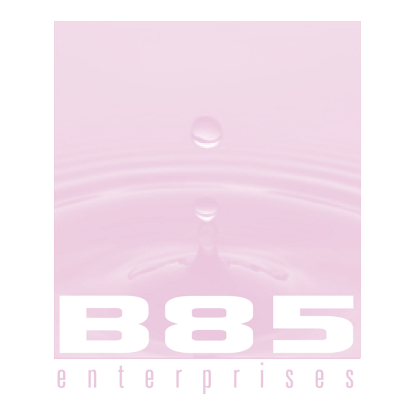 B85 Enterprises Logo PNG Vector