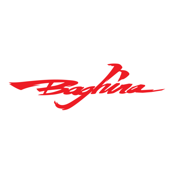 Baghira Logo PNG Vector