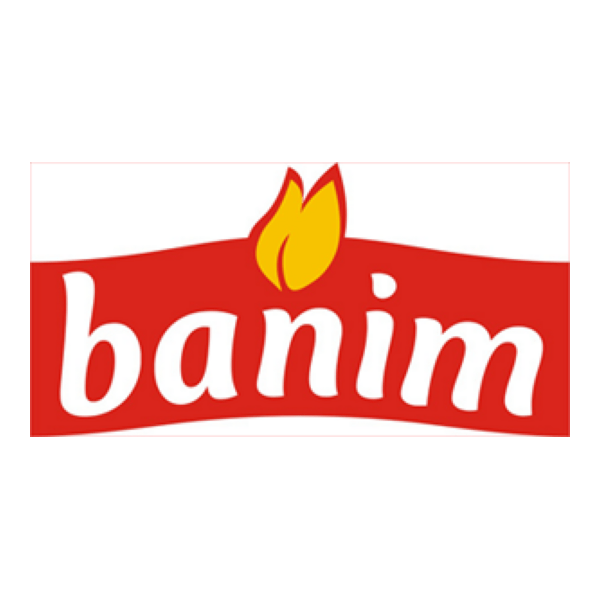 BANIM Logo PNG Vector