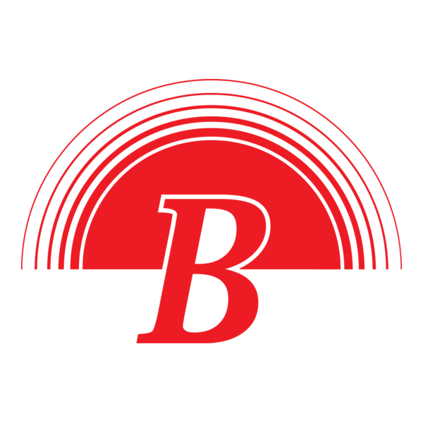 Bara Logo PNG Vector