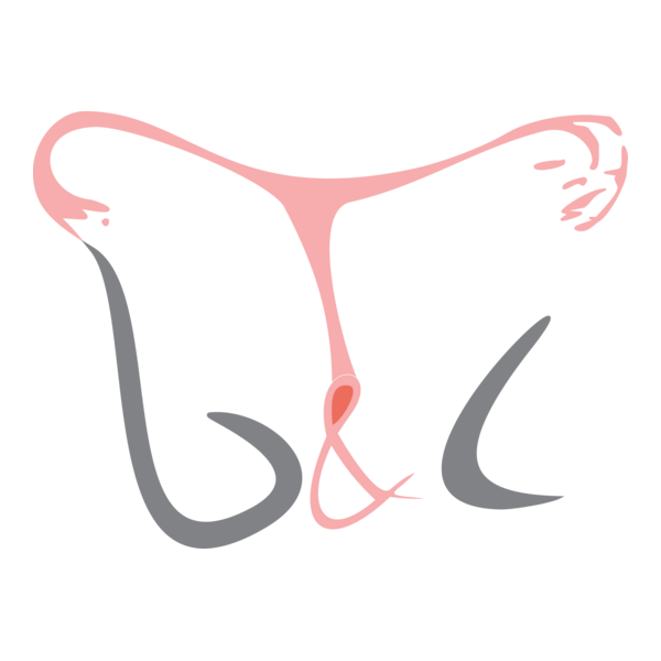 B&C Investments Logo PNG Vector