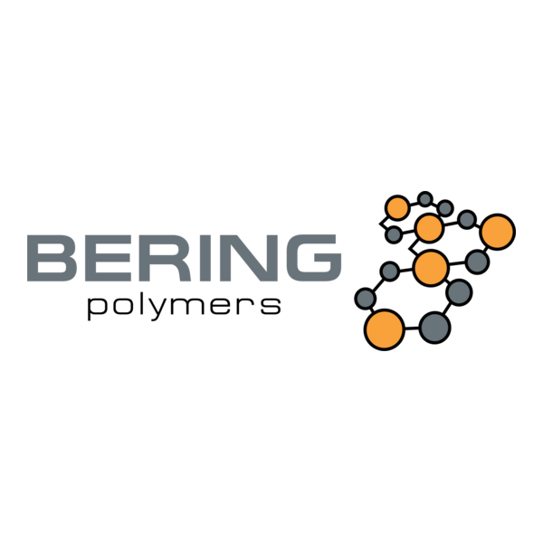 Bering Logo PNG Vector