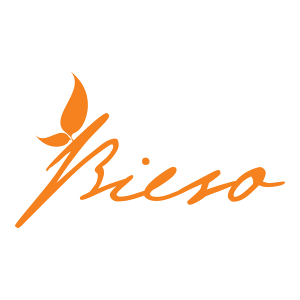 bieso Logo PNG Vector
