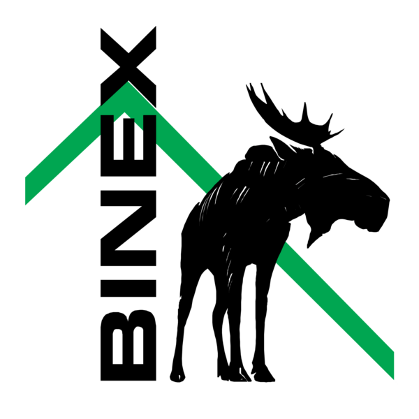 Binex Logo PNG Vector