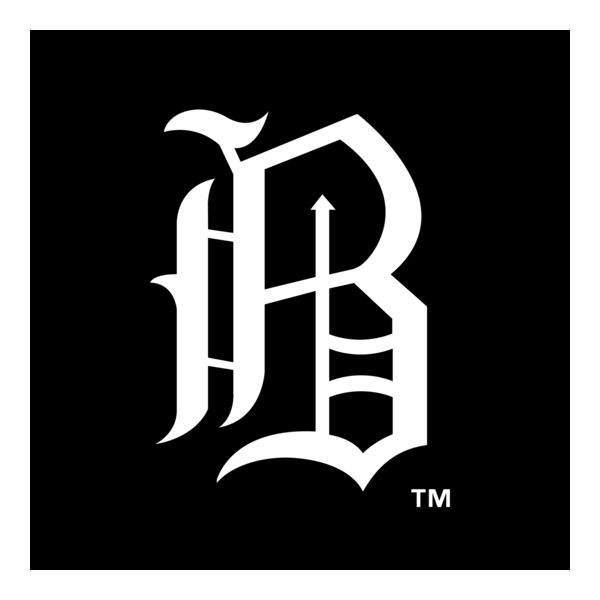 Birmingham Barons Logo PNG Vector