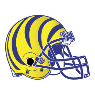 Autenticos Tigres Logo PNG Vector