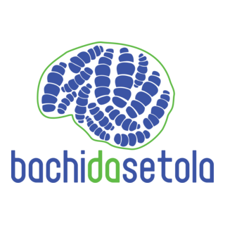 bachi da setola Logo PNG Vector