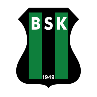 Bakirkoyspor Logo PNG Vector