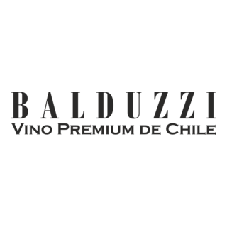Balduzzi Logo PNG Vector
