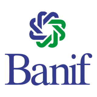 BANIF - Banco Internacional do Funchal Logo PNG Vector