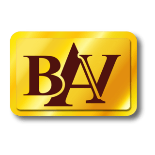 bav Logo PNG Vector