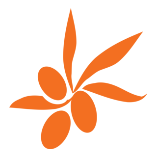 Bellaveduta Logo PNG Vector