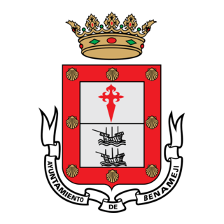 benameji Logo PNG Vector