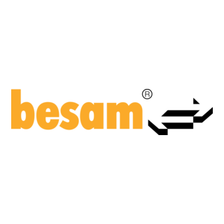 Besam Logo PNG Vector