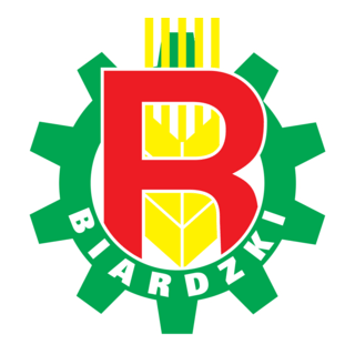 Biardzki Logo PNG Vector