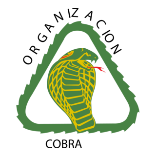 Big Jim/Kid Acero Logo PNG Vector