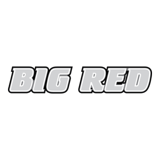 Big Red Logo PNG Vector
