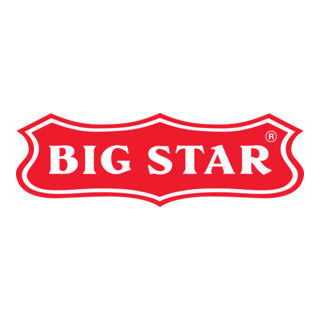 Big Star Logo PNG Vector