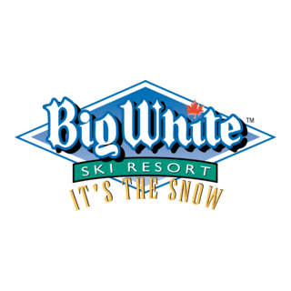 Big White Logo PNG Vector
