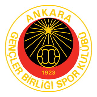 Birligispor Logo PNG Vector