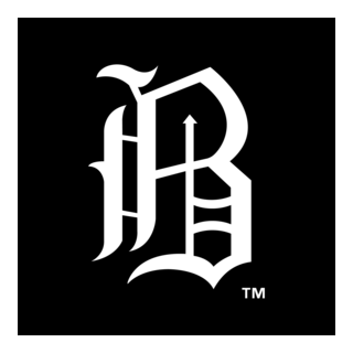 Birmingham Barons Logo PNG Vector
