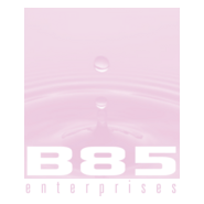 B85 Enterprises Logo PNG Vector