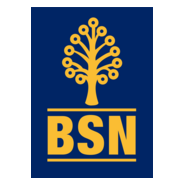 bank simpanan nasional Logo PNG Vector