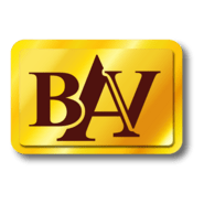 bav Logo PNG Vector
