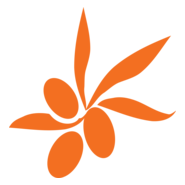 Bellaveduta Logo PNG Vector