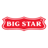 Big Star Logo PNG Vector