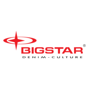 BigStar Logo PNG Vector