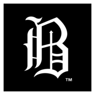Birmingham Barons Logo PNG Vector
