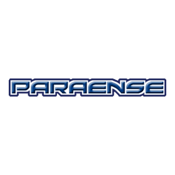 Paraense Servicos Logo PNG Vector