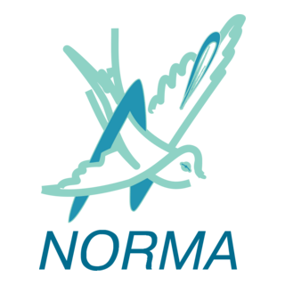 Norma Logo PNG Vector