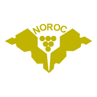 Noroc Moldova Logo PNG Vector